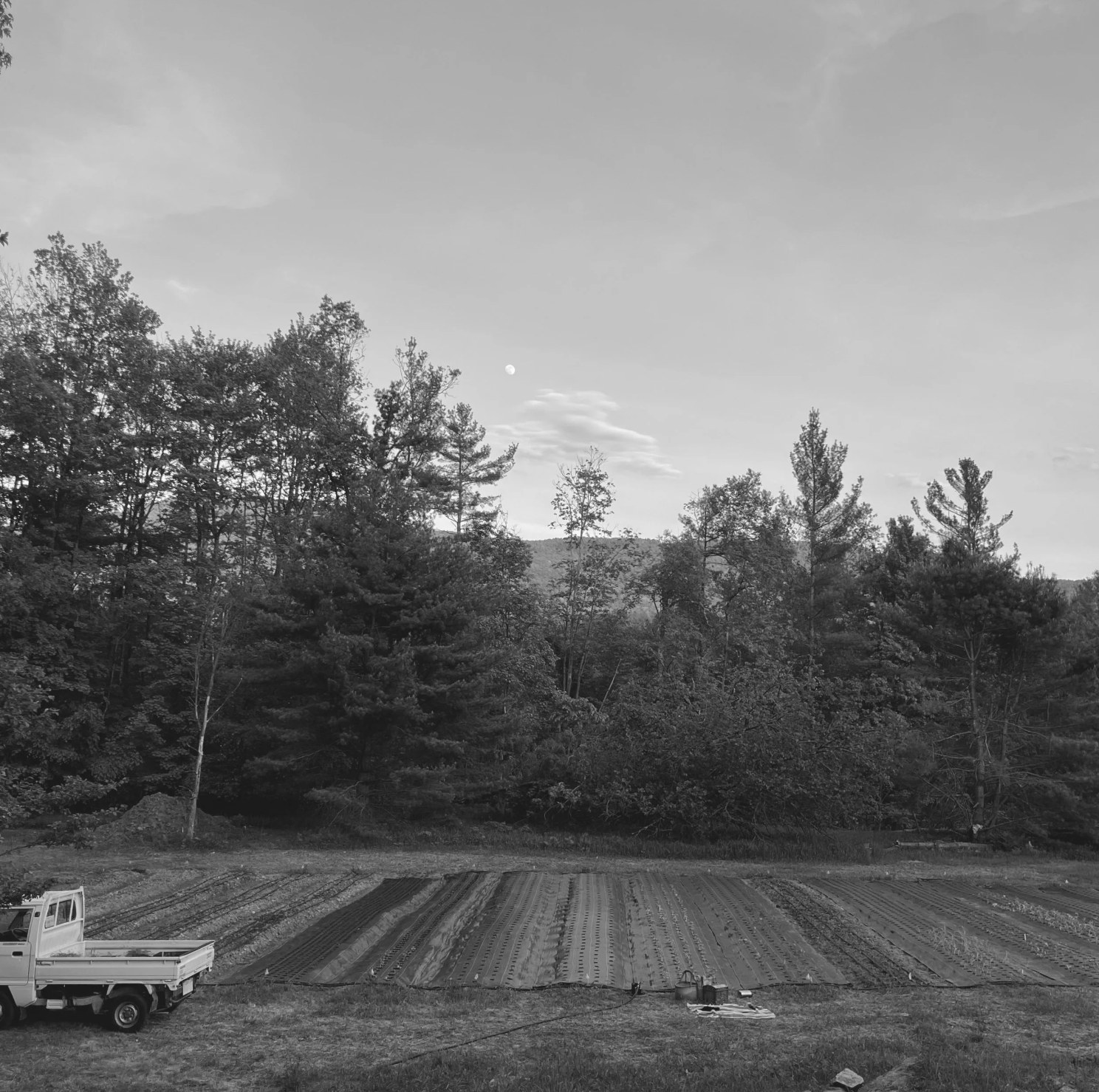 Black-and-white view of Kosmo Farm’s flower field, farm truck, and Vermont treeline under a rising moon