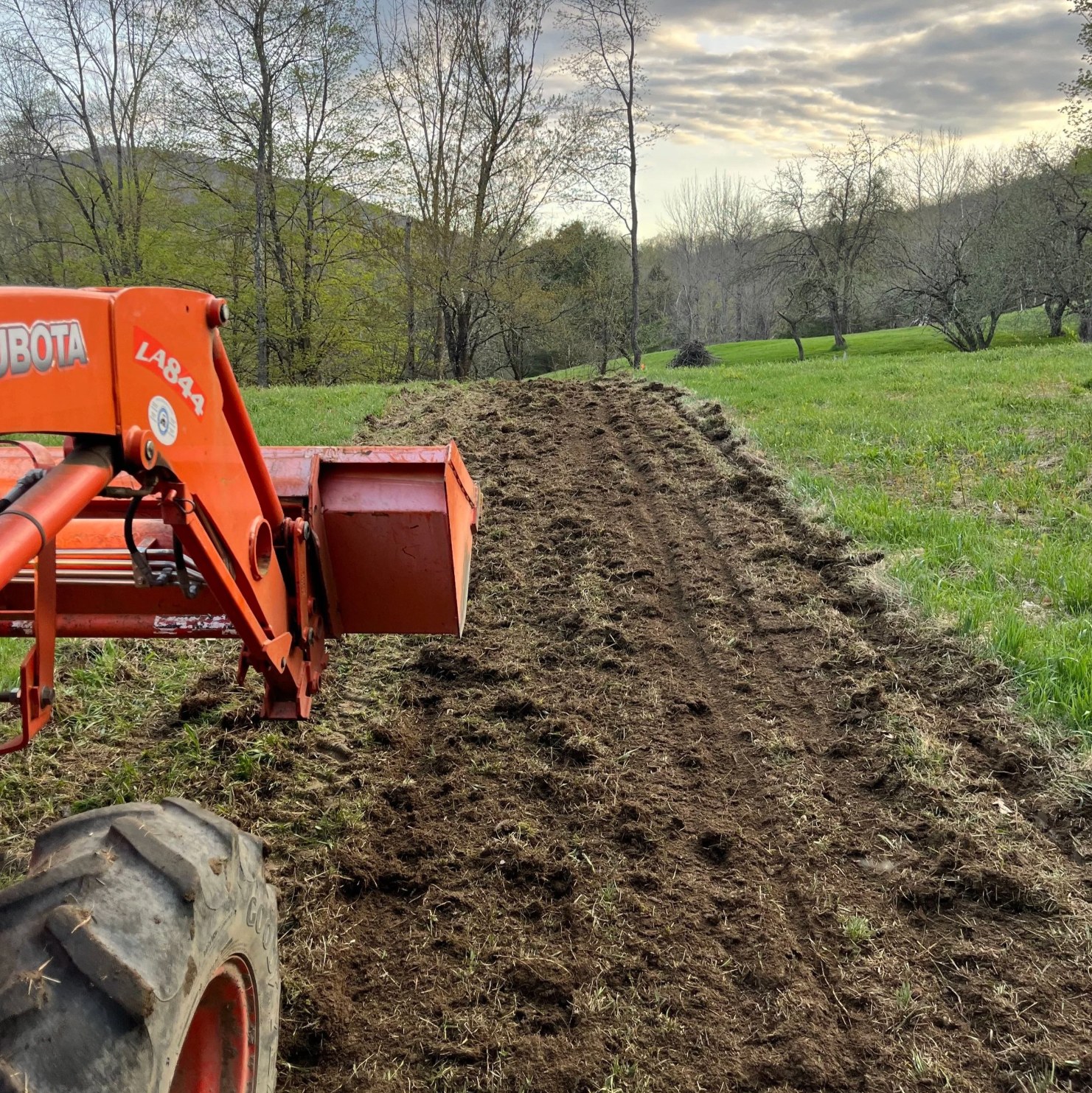Kubota tractor preparing a new cut-flower bed at Kosmo Farm in Richmond, Vermont